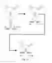 Fig. 06 - Self-cleaving ribozymes and uses thereof
