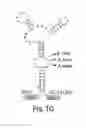 Fig. 07 - Self-cleaving ribozymes and uses thereof