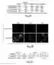 Fig. 08 - Self-cleaving ribozymes and uses thereof