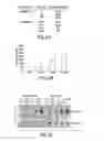 Fig. 09 - Self-cleaving ribozymes and uses thereof