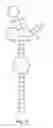 Fig. 27 - Self-cleaving ribozymes and uses thereof