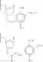 Fig. 12 - Arrays for detecting nucleic acids