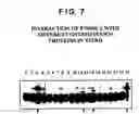 Fig. 26 - Identification and functional characterization of a novel ribosomal S6 protein kinase