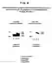 Fig. 27 - Identification and functional characterization of a novel ribosomal S6 protein kinase