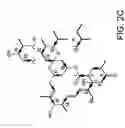 Fig. 04 - Avermectin aglycon synthase genes
