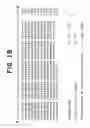 Fig. 03 - Drosophila recombination-associated protein and methods of use