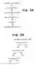 Fig. 09 - Drosophila recombination-associated protein and methods of use
