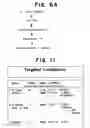 Fig. 15 - Drosophila recombination-associated protein and methods of use