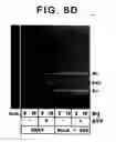 Fig. 17 - Drosophila recombination-associated protein and methods of use
