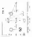 Fig. 22 - Drosophila recombination-associated protein and methods of use