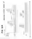 Fig. 24 - Drosophila recombination-associated protein and methods of use