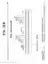 Fig. 25 - Drosophila recombination-associated protein and methods of use
