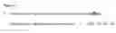 Fig. 07 - Association of TSPYL polymorphisms with SIDDT syndrome