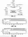Fig. 07 - Mutant 2.5-diketo-L-gluconic acid reductases