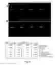 Fig. 15 - Reagents and methods for detecting Neisseria gonorrhoeae