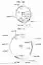 Fig. 13 - Method for cloning and producing the MseI restriction endonuclease