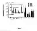 Fig. 06 - Nucleic acid analysis techniques
