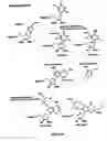 Fig. 34 - Nucleic acid analysis techniques