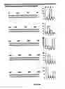 Fig. 46 - Nucleic acid analysis techniques