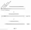 Fig. 02 - Nucleic acid ligands to the prostate specific membrane antigen