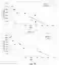 Fig. 08 - Nucleic acid ligands to the prostate specific membrane antigen
