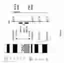 Fig. 03 - Nucleic acids of the human ABCC11 gene, vectors containing such nucleic acids and uses thereof