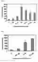 Fig. 02 - Estrogen receptor genes and utilization thereof