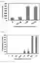 Fig. 04 - Estrogen receptor genes and utilization thereof