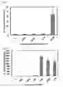 Fig. 05 - Estrogen receptor genes and utilization thereof
