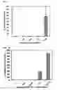 Fig. 06 - Estrogen receptor genes and utilization thereof
