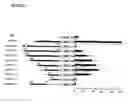 Fig. 05 - Nucleic acid molecules comprising the promoter for PCA3, and uses thereof