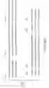 Fig. 07 - Antibodies specific for native PrP