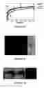 Fig. 07 - Site-specific labelling of proteins
