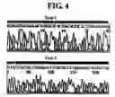 Fig. 06 - Diagnostic method for cancer characterized in the detection of the deletion of G-CSF exon 3