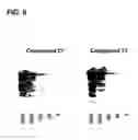 Fig. 07 - Assay methods using chemiluminescent detection of peroxidase