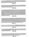Fig. 06 - In vivo production of cyclic peptides