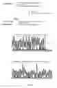 Fig. 07 - Method for engineering strand-specific nicking endonucleases from restriction endonucleases