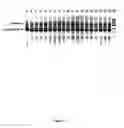 Fig. 08 - Method for engineering strand-specific nicking endonucleases from restriction endonucleases