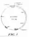 Fig. 02 - Ethanol production in gram-positive microbes