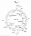 Fig. 06 - Microorganisms and assays for the identification of antibiotics