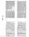 Fig. 08 - Microorganisms and assays for the identification of antibiotics