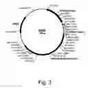 Fig. 04 - Methods for eliminating or reducing the expression of a genes in a filamentous fungal strains