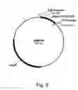 Fig. 09 - Methods for eliminating or reducing the expression of a genes in a filamentous fungal strains