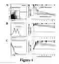 Fig. 02 - Hematopoietic stem cell identification and isolation