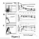 Fig. 04 - Hematopoietic stem cell identification and isolation