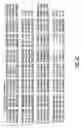 Fig. 07 - Manipulation of non-terminally differentiated cells using the Notch pathway