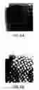 Fig. 09 - Manipulation of non-terminally differentiated cells using the Notch pathway
