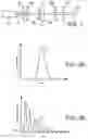 Fig. 02 - Method and device for measuring the absorption or light diffusion of biological elements