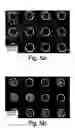Fig. 07 - Cell patterning technique