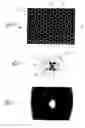 Fig. 03 - Methods of forming nanocavity laser structures